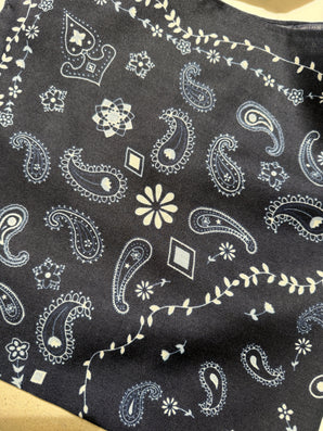Bow19 | Paisley Scarf