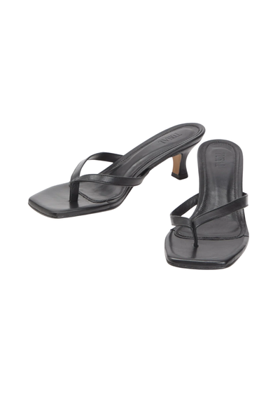 Toral | TL-Rocio Napa Iris